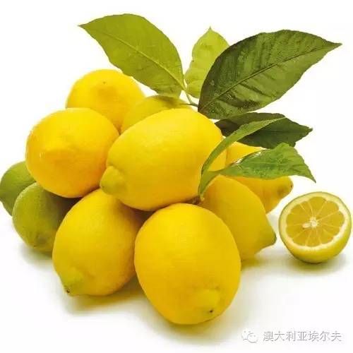 走进“中国柠檬之乡”，RLF助力柠檬高产优质方案
